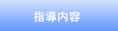 指導内容